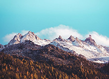 官方:赵继伟成为辽宁本地企业辉山乳业品牌大使