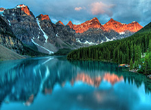 官方:赵继伟成为辽宁本地企业辉山乳业品牌大使