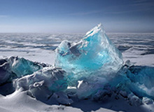 官方：赵继伟成为辽宁本地企业辉山乳业品牌大使